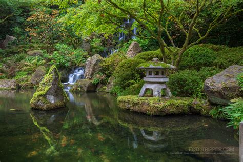 How to Shoot Portland Japanese Garden - Fototripper