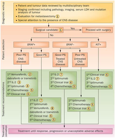 Stage 4 Melanoma Cancer