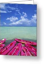 Many Pink Kayaks Photograph by Dana Edmunds - Printscapes - Fine Art America