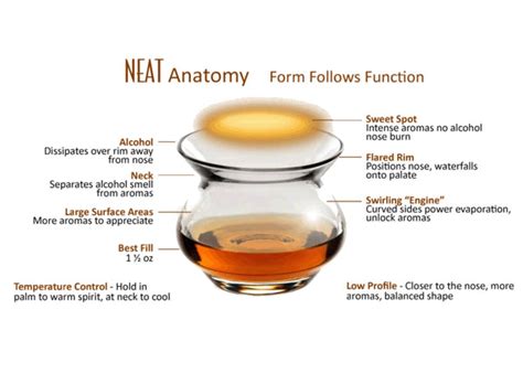 A Guide to Different Types of Whiskey Glasses