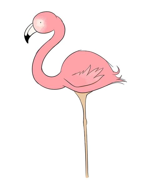 Cartoon Flamingo Drawing