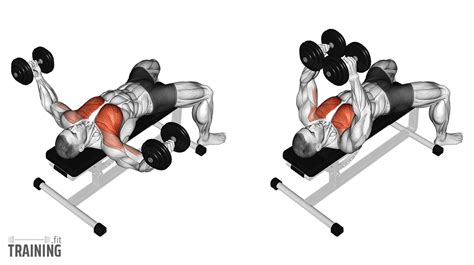 Incline Dumbbell Fly - Instructions, Information & Alternatives » Training.fit