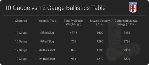 Recoil 12 Gauge Vs 20