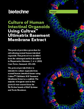 Human Intestinal Organoid Culture Protocol