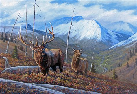 Elk Paintings