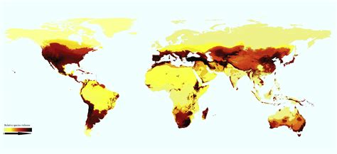 Scientists Map Distribution of Bee Species Worldwide | Sci.News