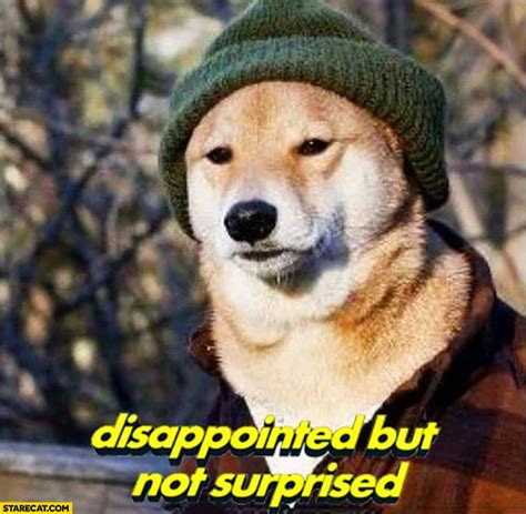 Disappointed but not suprised doge meme | StareCat.com