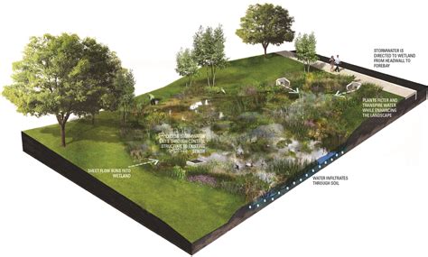 Stormwater Wetland – Green Stormwater Infrastructure