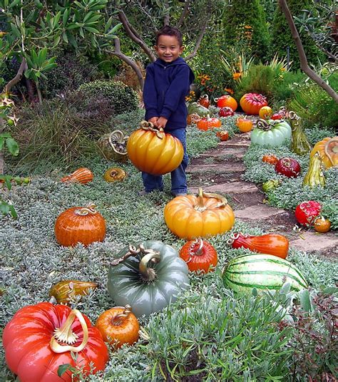 Glass Pumpkin Patch, Richmond: Art blooms