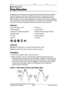 Frog Dissection Worksheet