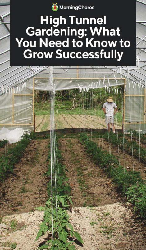 High Tunnel Gardening: What You Need to Know to Grow Successfully