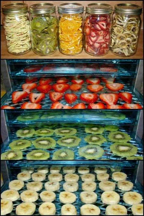 Freeze-Drying Food At Home - 3 Easy Methods - Prepper's Will