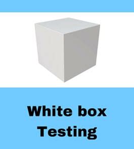 White Box Testing – What is, Techniques, Example & Types