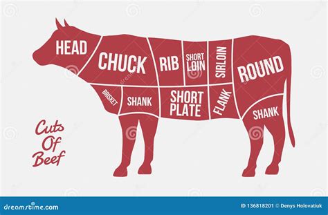 Cuts of Beef. Meat Cuts. Cow Silhouette Isolated on White Background. Vintage Poster for Meat ...