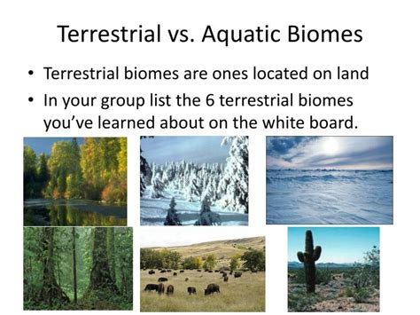 PPT - Aquatic Biomes PowerPoint Presentation - ID:2335727