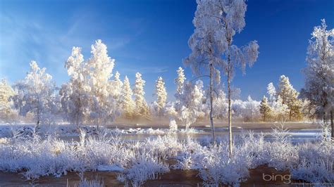 Bing Winter Wallpapers - Top Free Bing Winter Backgrounds - WallpaperAccess