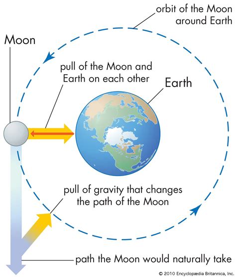 Gravity - Newton’s law of gravity | Britannica