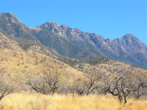 Wanderings through Arizona: Santa Rita Mountains