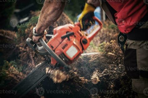 Tree Roots Removal 24636247 Stock Photo at Vecteezy