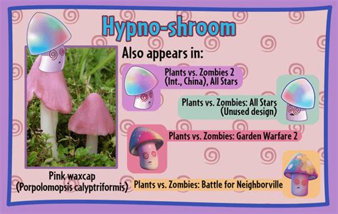 PvZ Infographics Part 2: Night Area : r/PlantsVSZombies