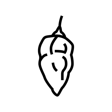 ghost pepper line icon vector illustration 10188910 Vector Art at Vecteezy