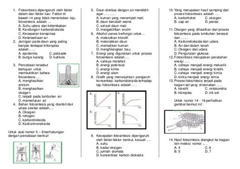 Soal Sistem Gerak Tumbuhan Kelas 8 Doc - Pendidik Siswa