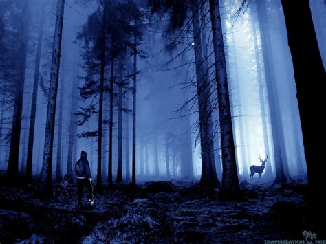 Scary Forest Wallpaper (57+ images)