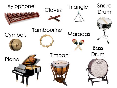 What are Percussion Instruments? - Little to Great Scientists