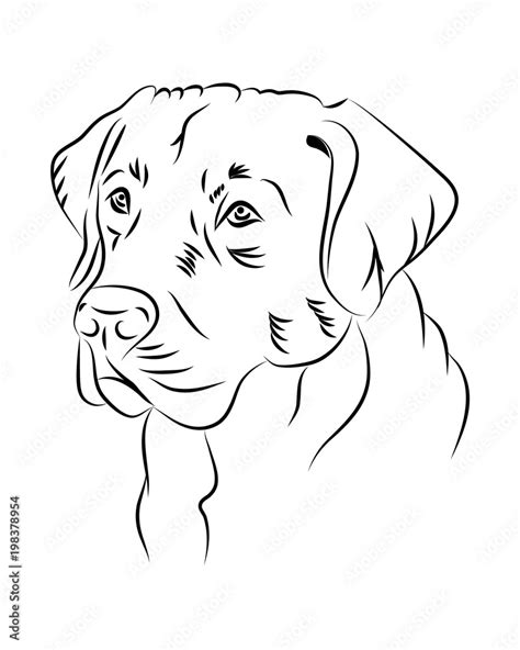 Labrador dog line art, minimalistic tribal. Freehand vector ...