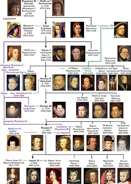 Habsburg Dynasty (abridged) Family Tree. | Royal family trees, European royal family tree ...