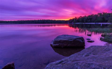 Purple sunset, forest, lake, rocks wallpaper | nature and landscape ...