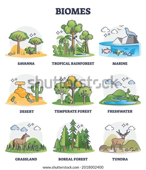 23,409 Biome Royalty-Free Images, Stock Photos & Pictures | Shutterstock