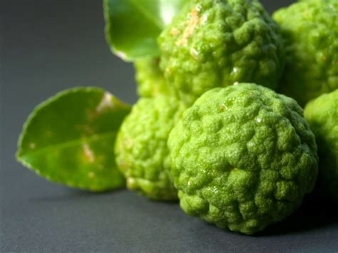 Bergamot Fruit Free Stock Photo - Public Domain Pictures