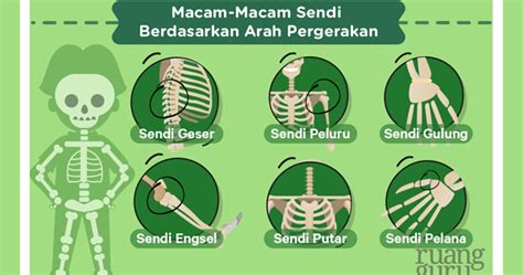 taufanyanuar: Sendi Putar, Peluru dan Geser pada Area leher