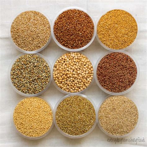 All About Millet and Different Millet Types