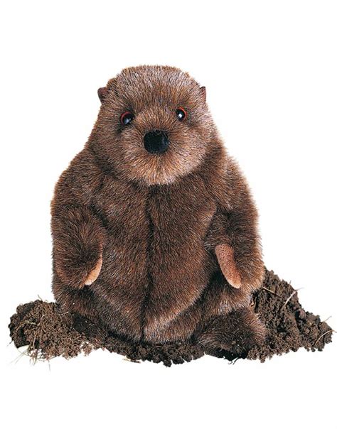 CHUCKWOOD Douglas plush 10.5" GROUNDHOG stuffed animal woodchuck toy ...