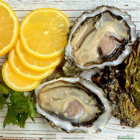 Buy US Pacific Live Oyster Delivery Malaysia | Bloom2u