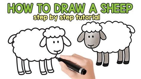 How To Draw The Sheep