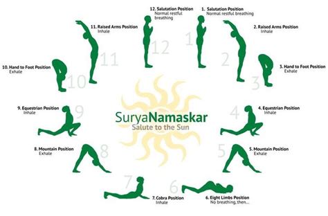 Sivananda Style Surya Namaskar / Sun Salutations | Surya namaskar, Yoga asanas, Yoga day