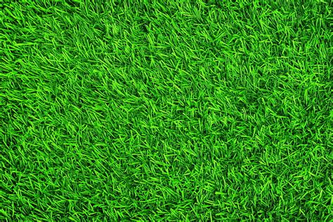 1366x768px | free download | HD wallpaper: green lawn grass, background ...