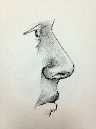 How to Draw a Nose