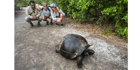 Guide and tourists watching a giant tortoise in Galapagos Islands