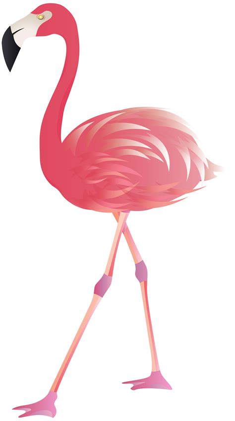 Flamingo Vector Clip Art