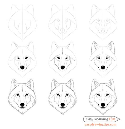 Top 11 how to draw a wolf face easy 2022