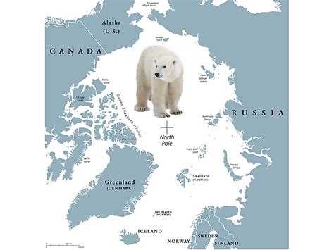 Where Do Polar Bears Live Map