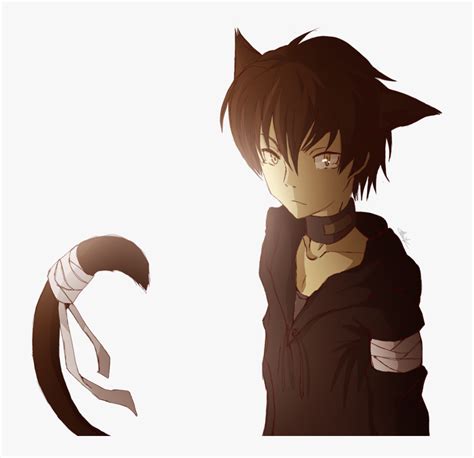 Boy And Png Images Pluspng Young By - Anime Boy With Cat Ears, Transparent Png - kindpng