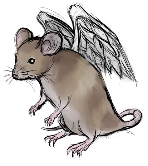 Cute Rat Drawing | Free download on ClipArtMag