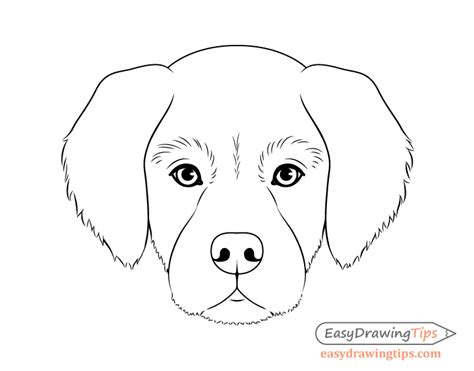 Picture Of Dog Drawing - PetsWall