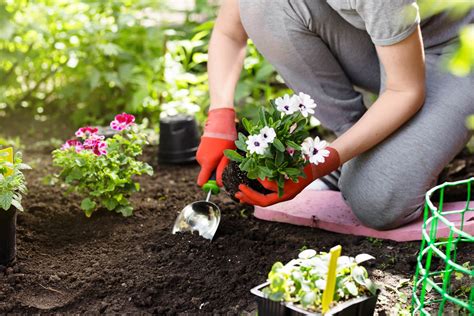 Gardening: Tips and Tricks for Beginners