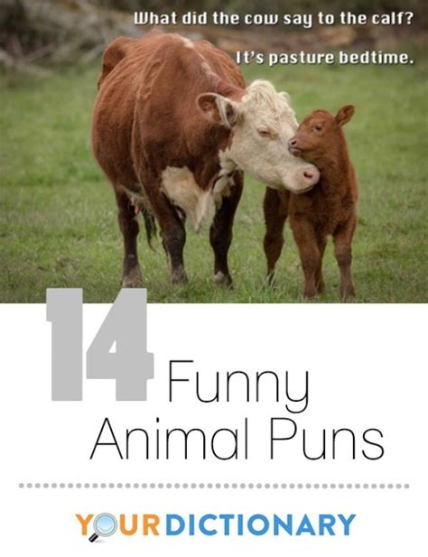 Funny Puns and Punny Jokes: 100+ Hilarious Examples | Punny jokes, Animal puns, Cat puns